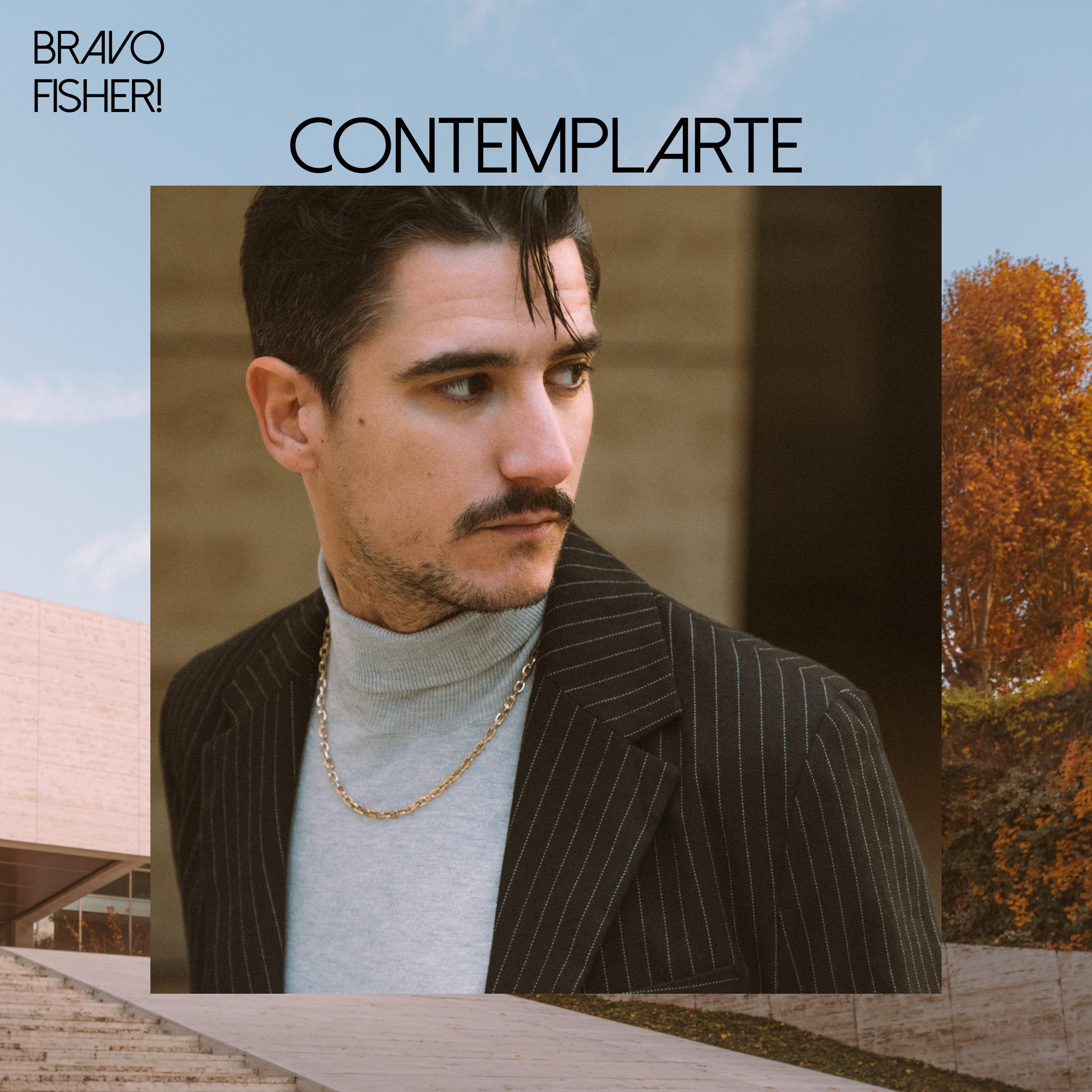 Contemplarte