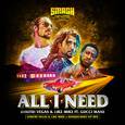 All I Need (DVLM X Bassjackers VIP MIX)