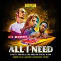 All I Need (DVLM X Bassjackers VIP MIX)专辑