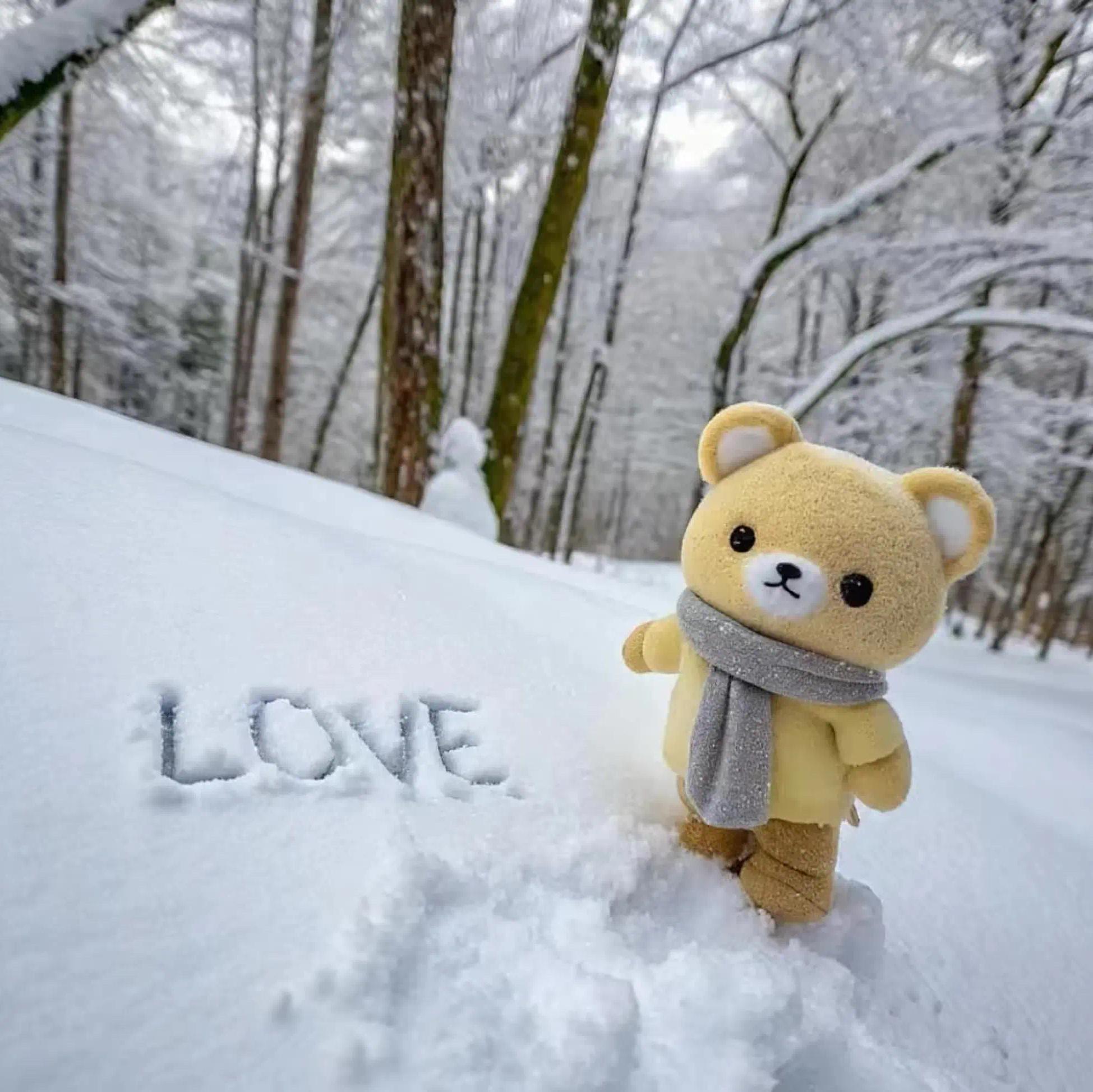 Mermaid Tears（人鱼的旋律