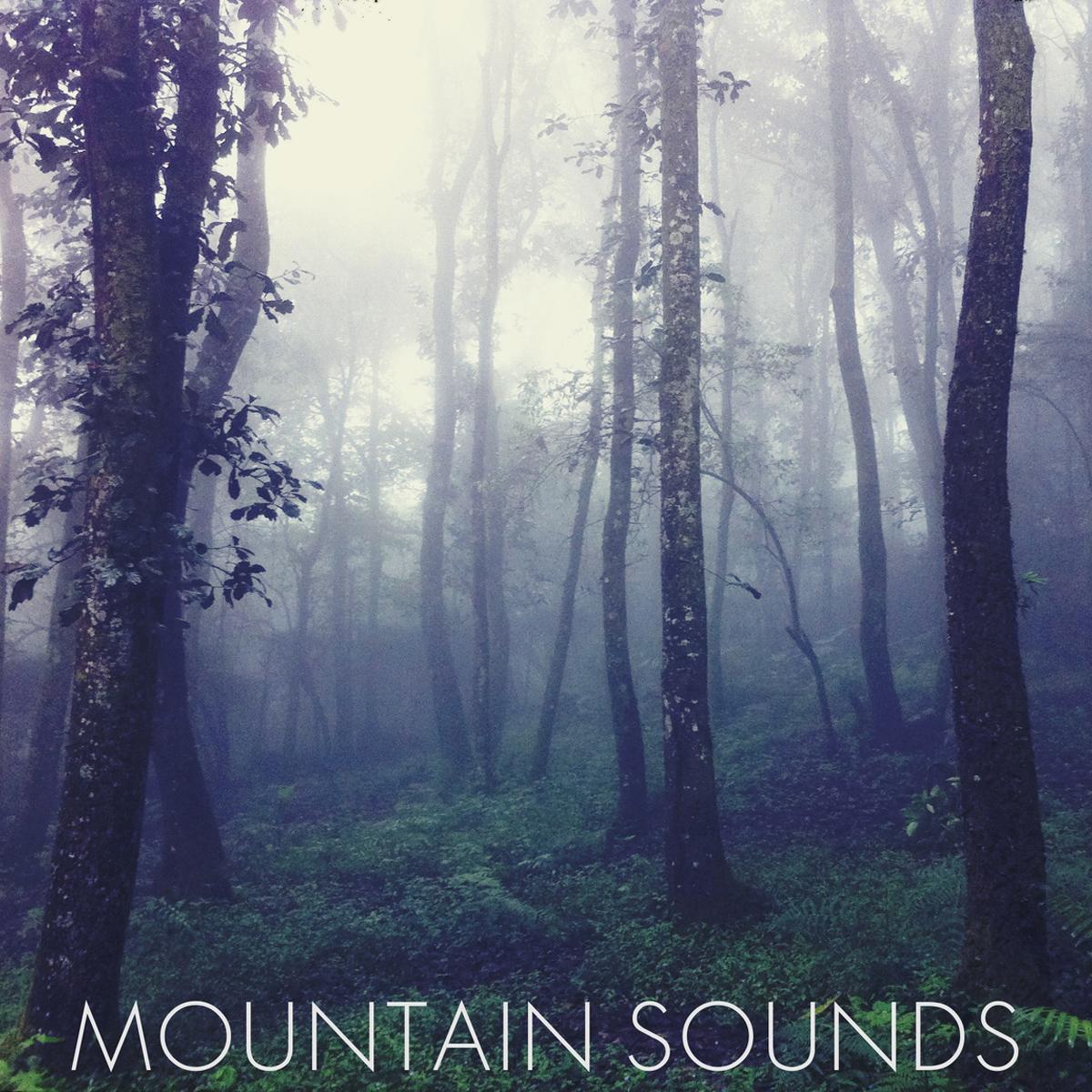 Mountain Sounds (숲 속의 음악, 힐링사운드, Inst.)