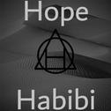 Habibi专辑