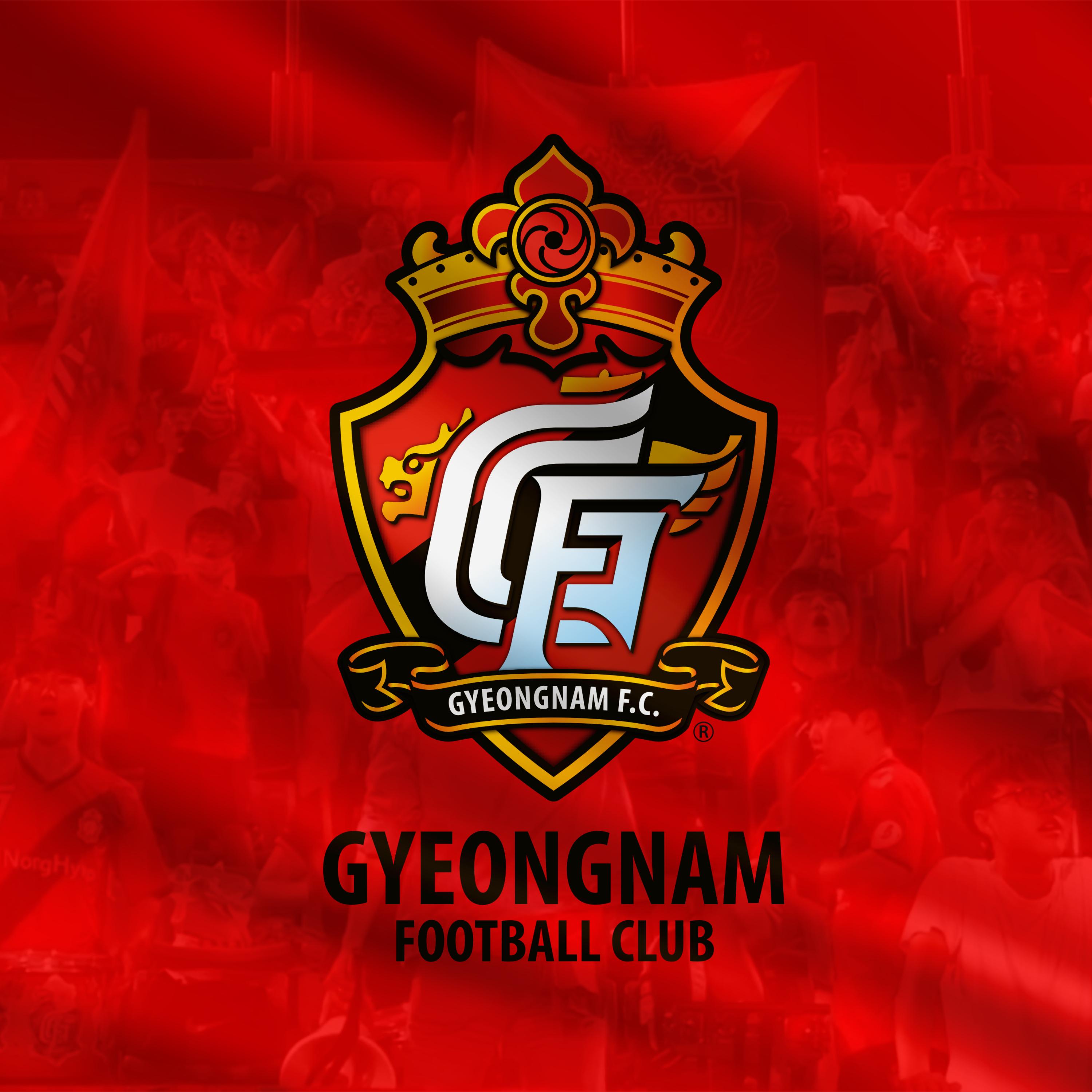 나는 문제 없어 (경남 FC 응원가 Ver.)