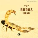 The Budos Band II专辑