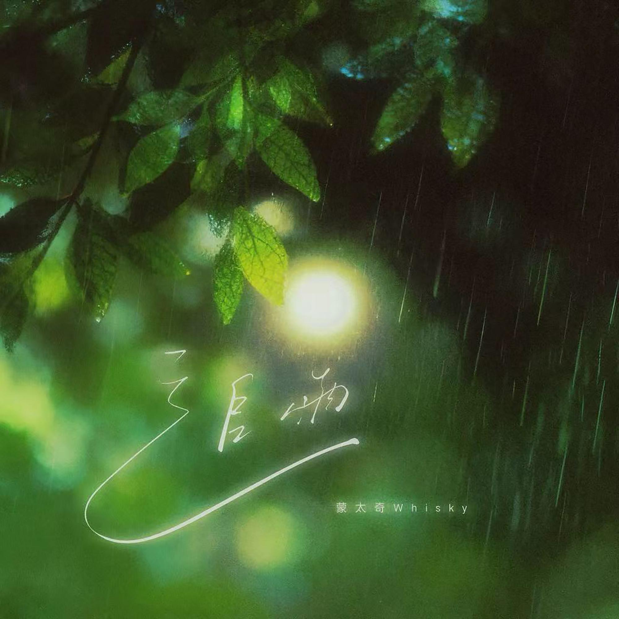 追雨