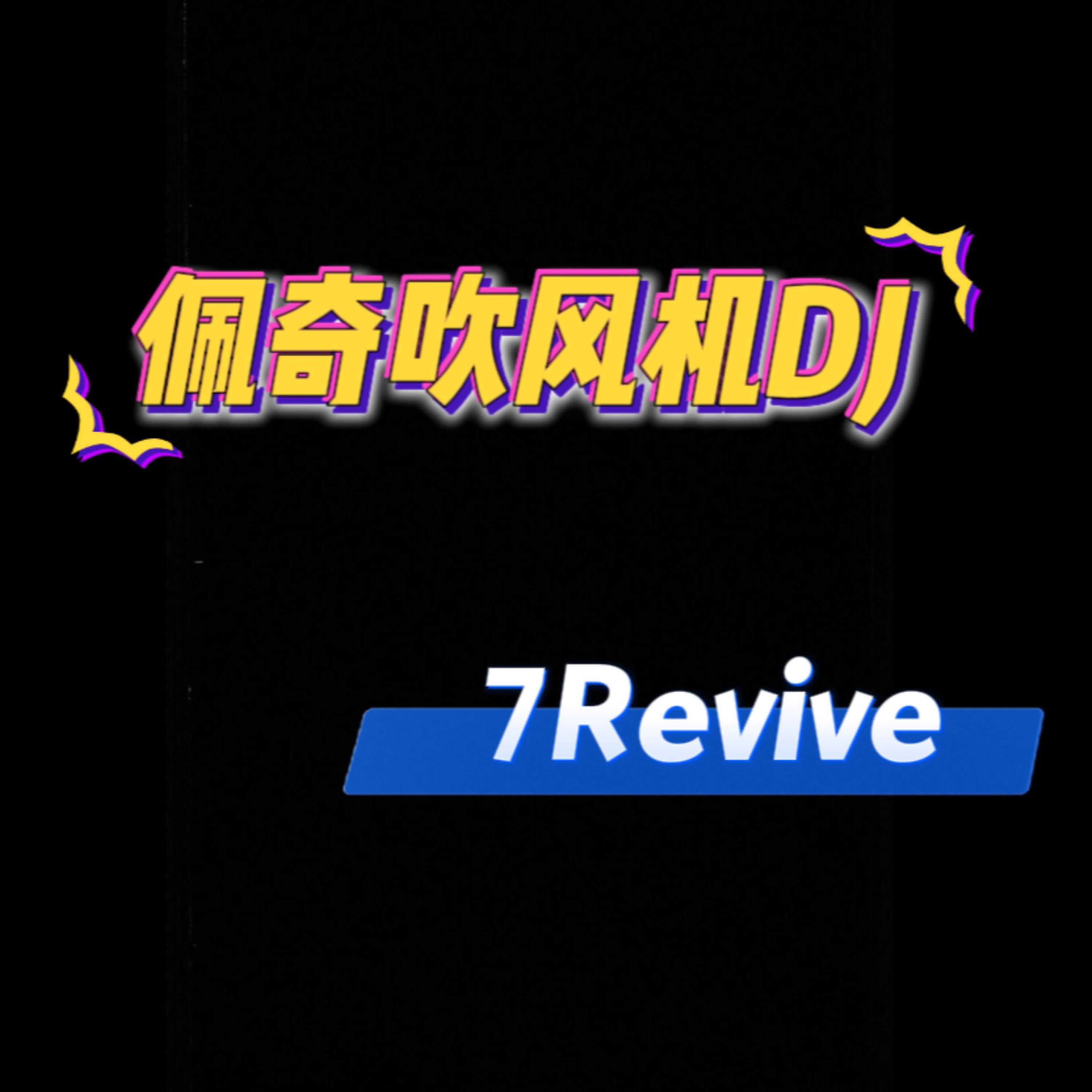 吹风机佩奇DJ