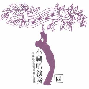 杨小萍 - 关达娜美拉(原版立体声伴奏)版本2 （降8半音）