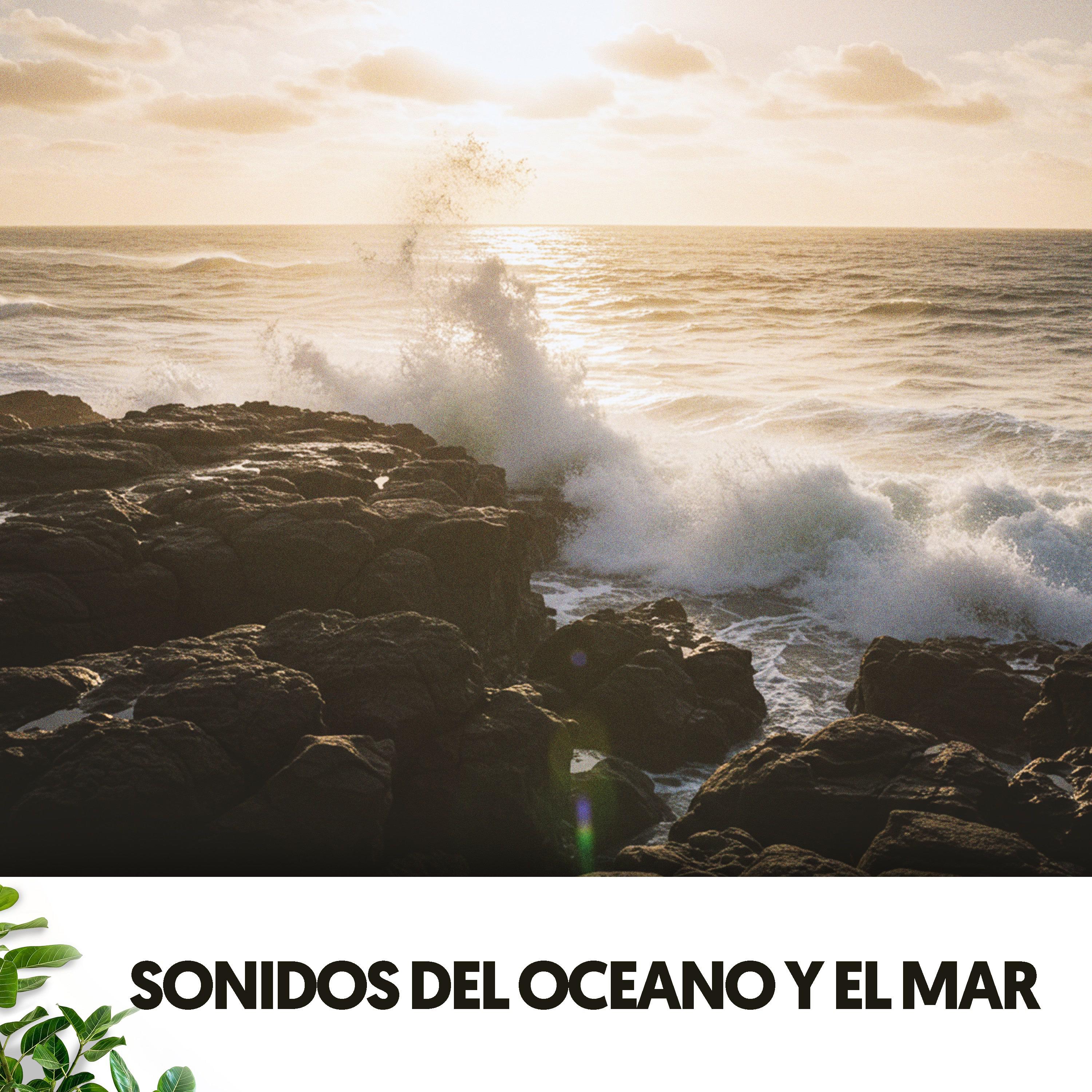 Canto de los mares en calma - Cat Music Therapy/Ocean Sounds Plus ...