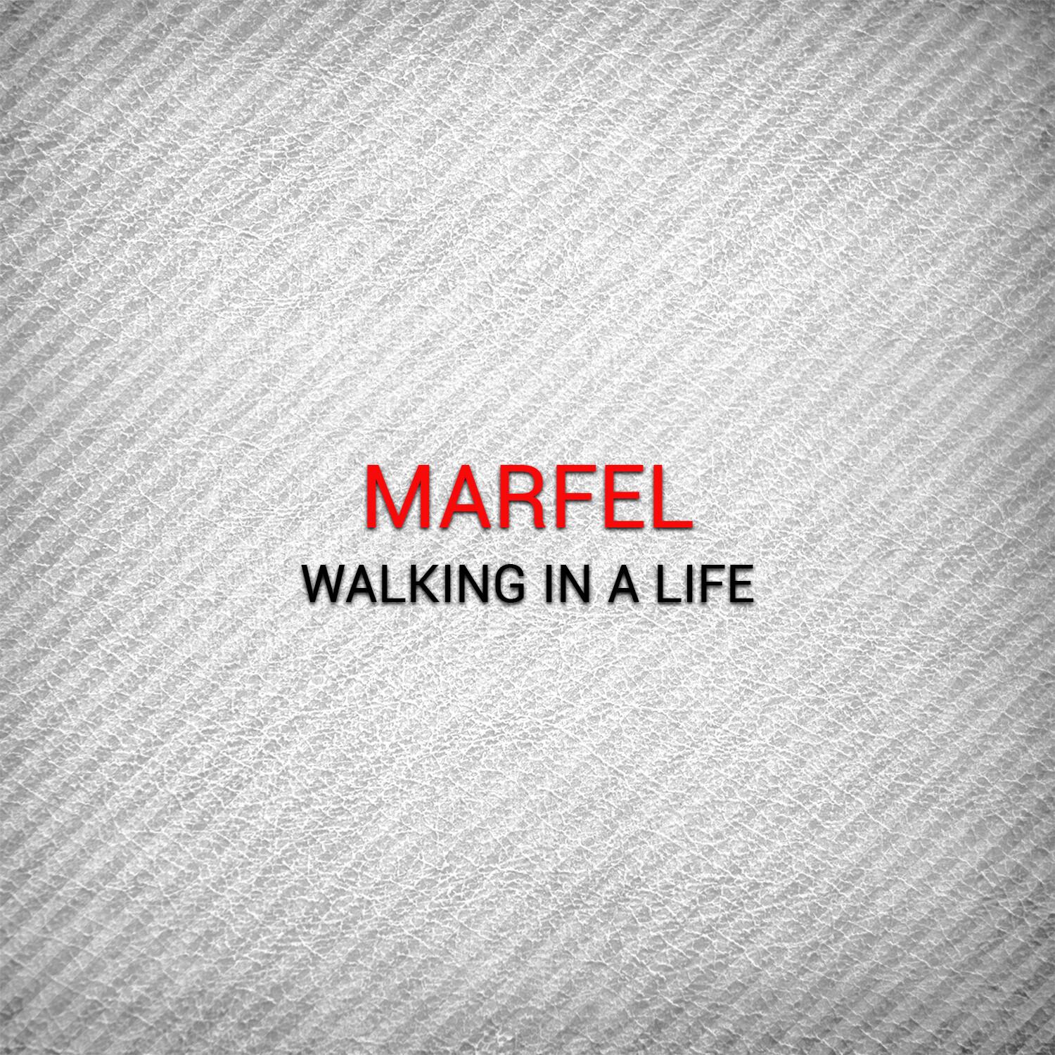Walking in a Life