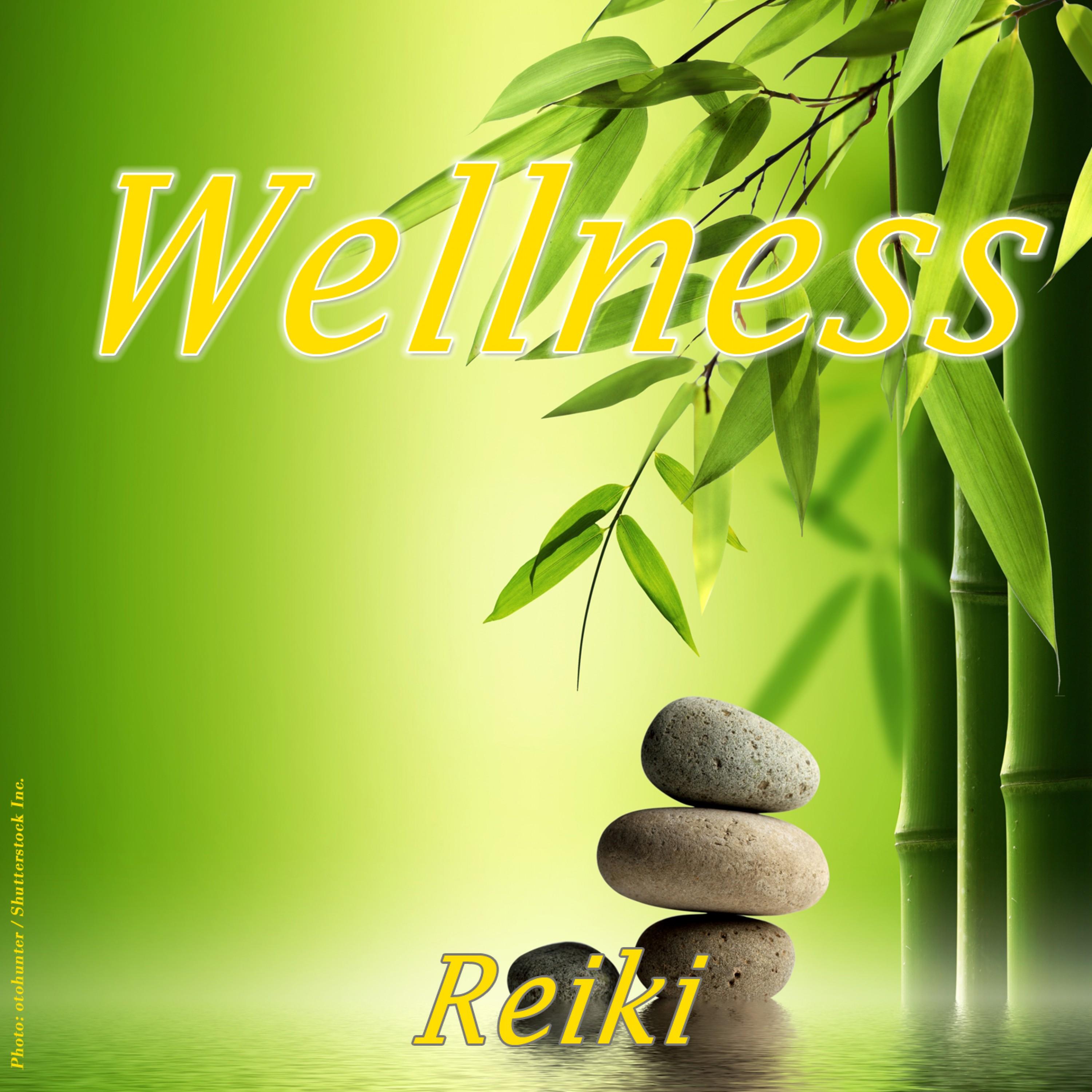 Wellness - Reiki