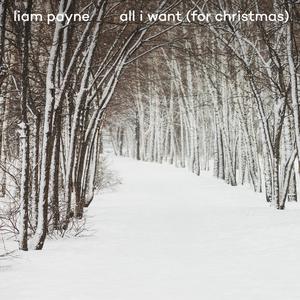 Liam Payne - All I Want (For Christmas) (钢琴伴奏) （降5半音）