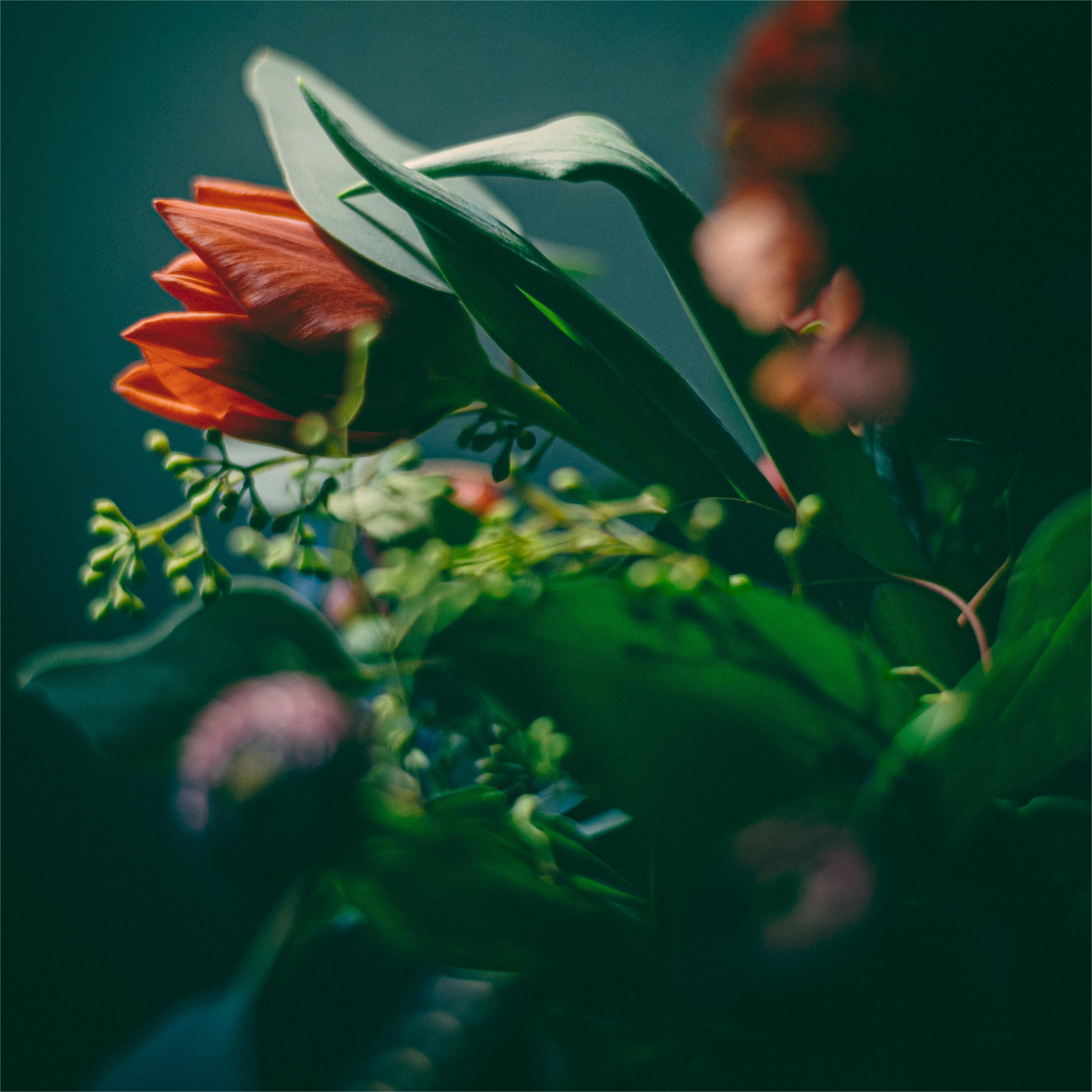 Dreamy Summertime (Instrumental)