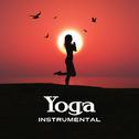 Yoga Instrumental专辑