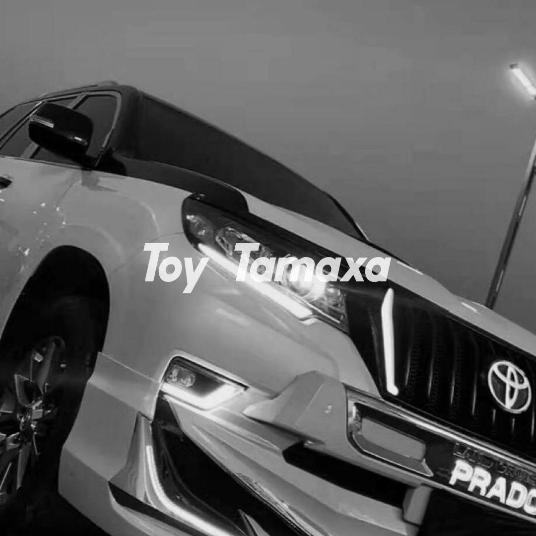 toy tamaxa （伴奏）新版