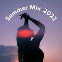 Summer Mix 2022专辑