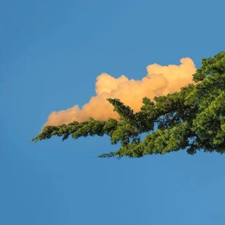 歌荒？来听听这些华语耐听好歌