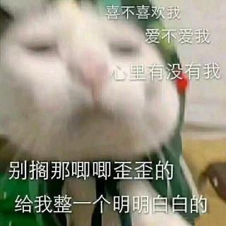 『蹦迪』夜场里最靓的仔！