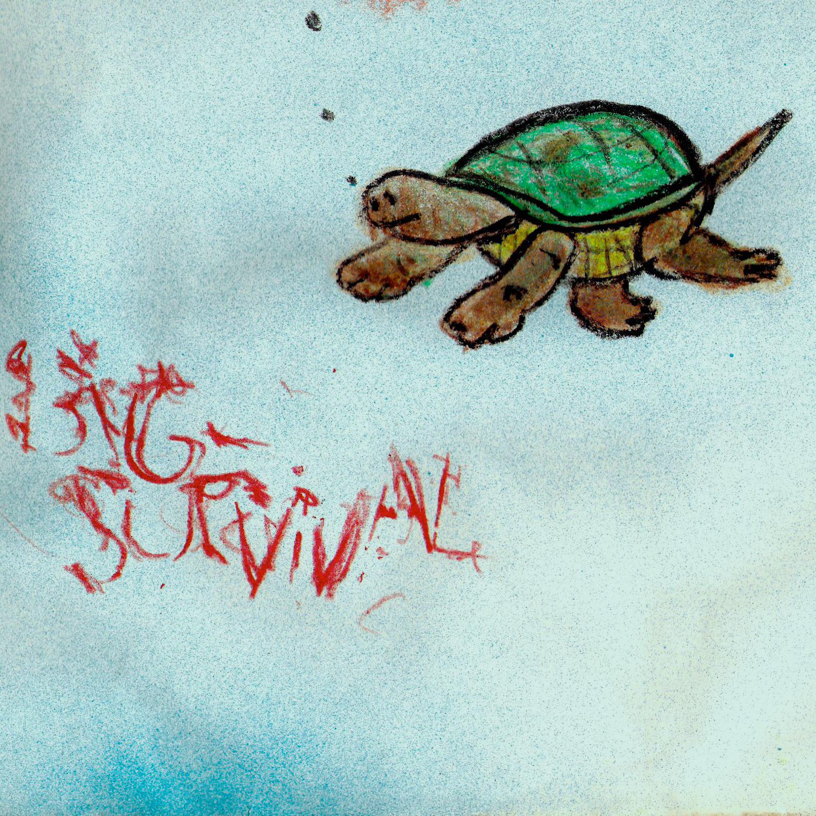 Big Survival