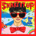 Shake It Up专辑