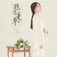 刘智晗 - 野有蔓草(原版立体声伴奏)