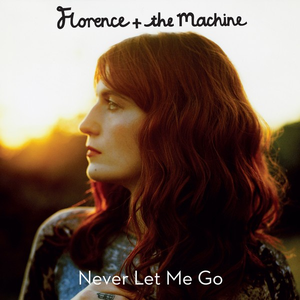 Florence And The Machine - Never let me go （升8半音）