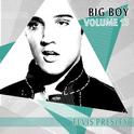 Big Boy Elvis Presley, Vol. 13专辑