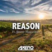 Reason (feat. Jimmy Magardeau)