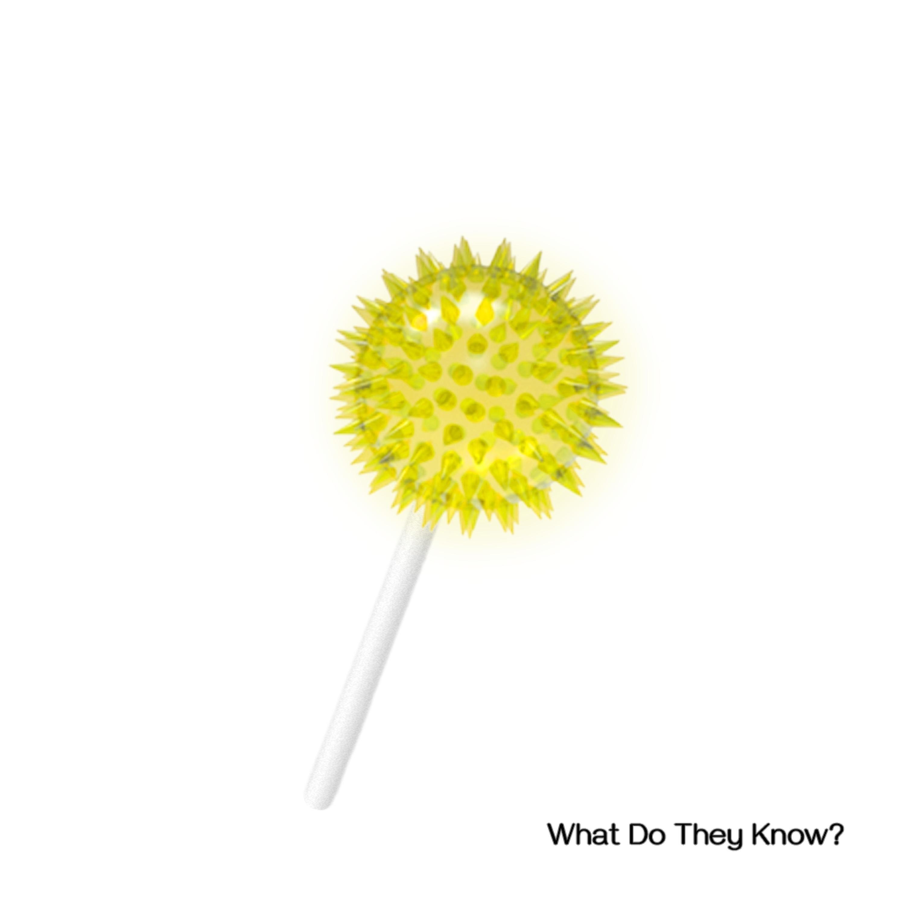 What Do They Know?