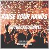 Raise Your Hands(Original Mix)
