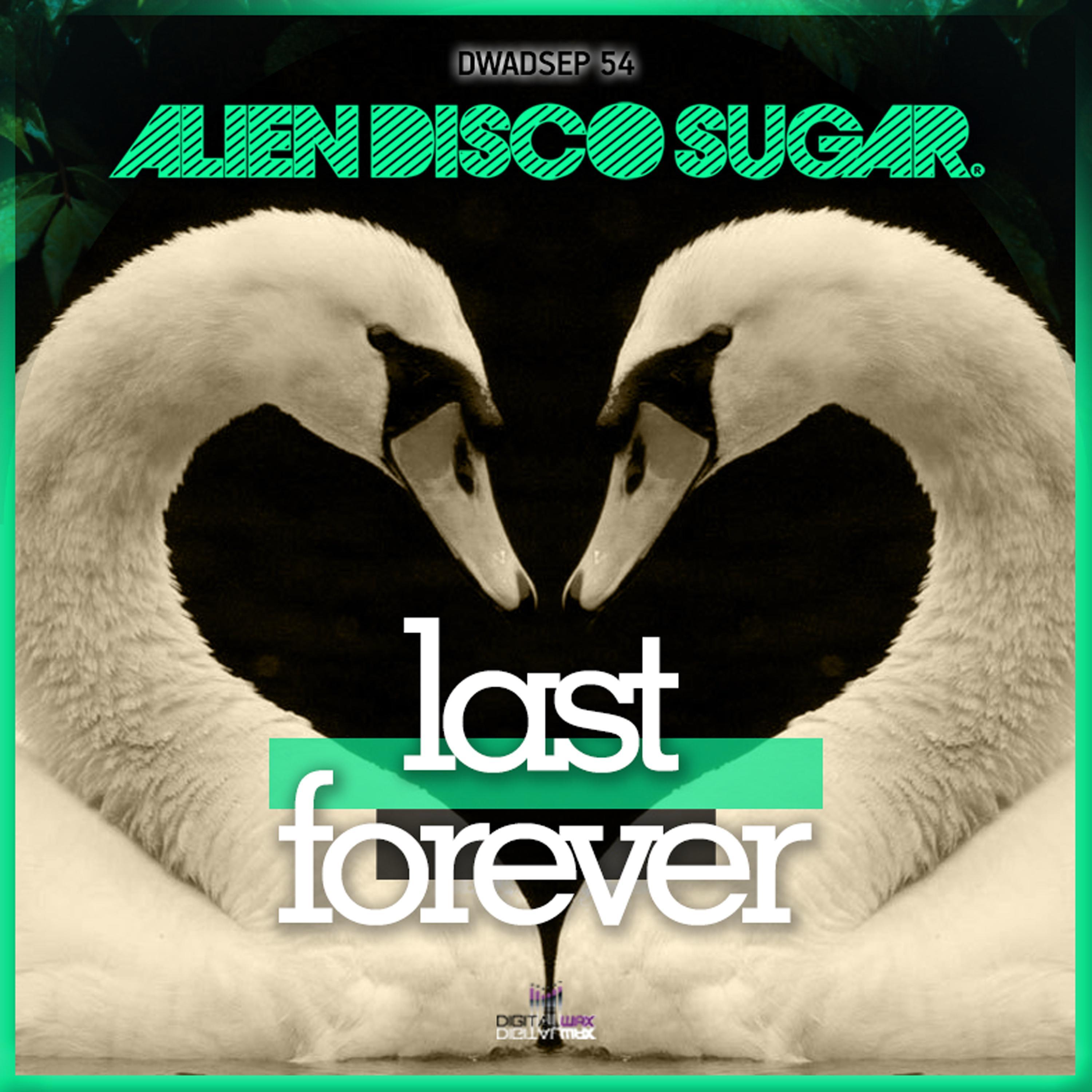 Last Forever
