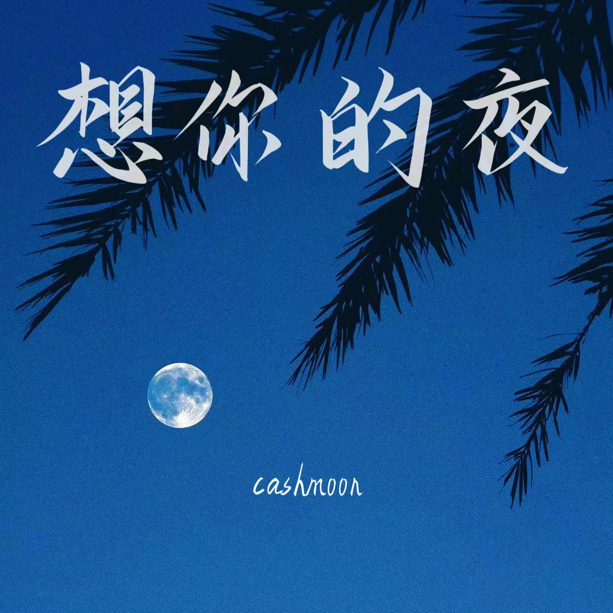 想你的夜专辑