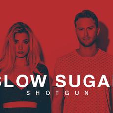 Slow Sugar