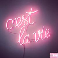 ★Cest la vie★（最新原声带）