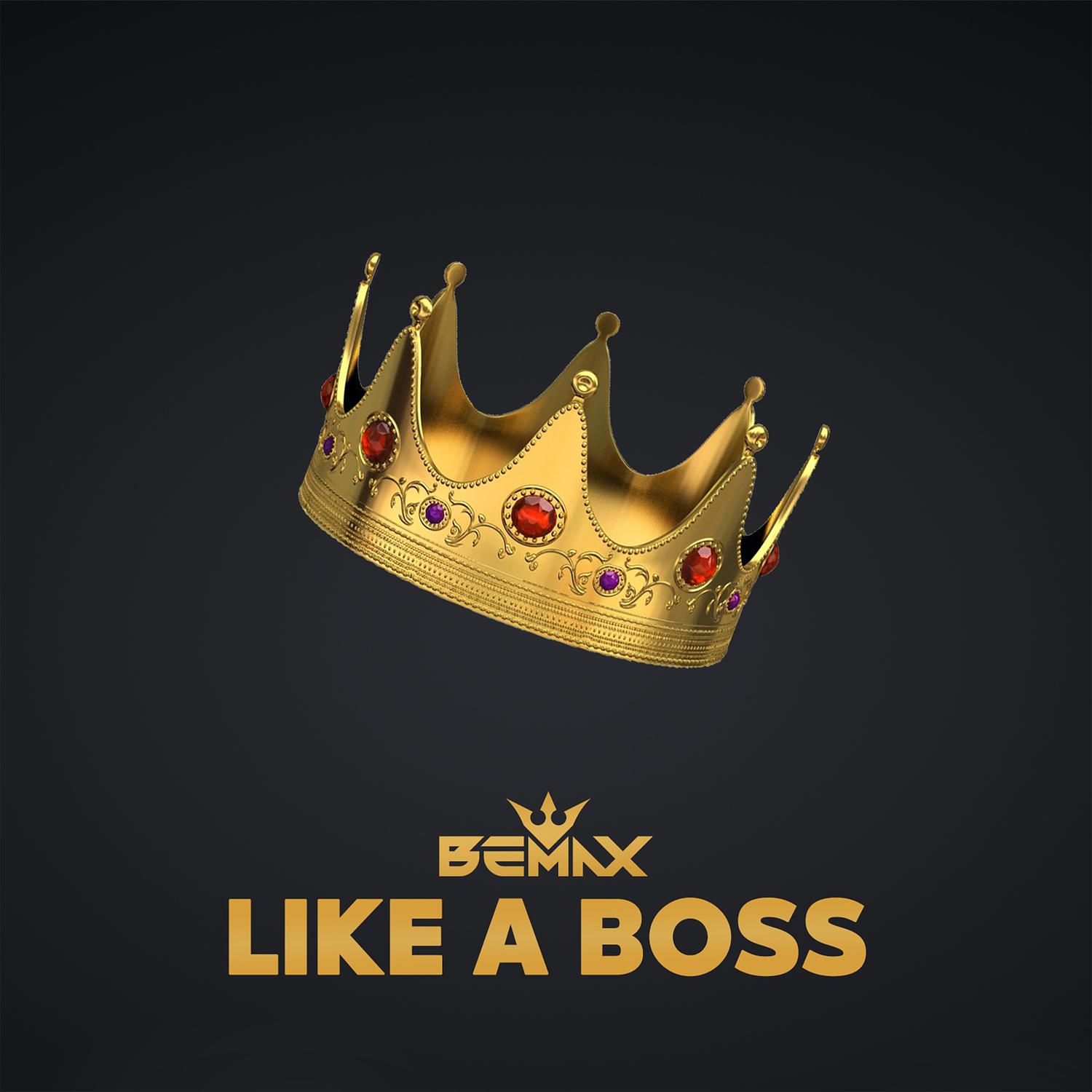 Like a Boss (Versions)