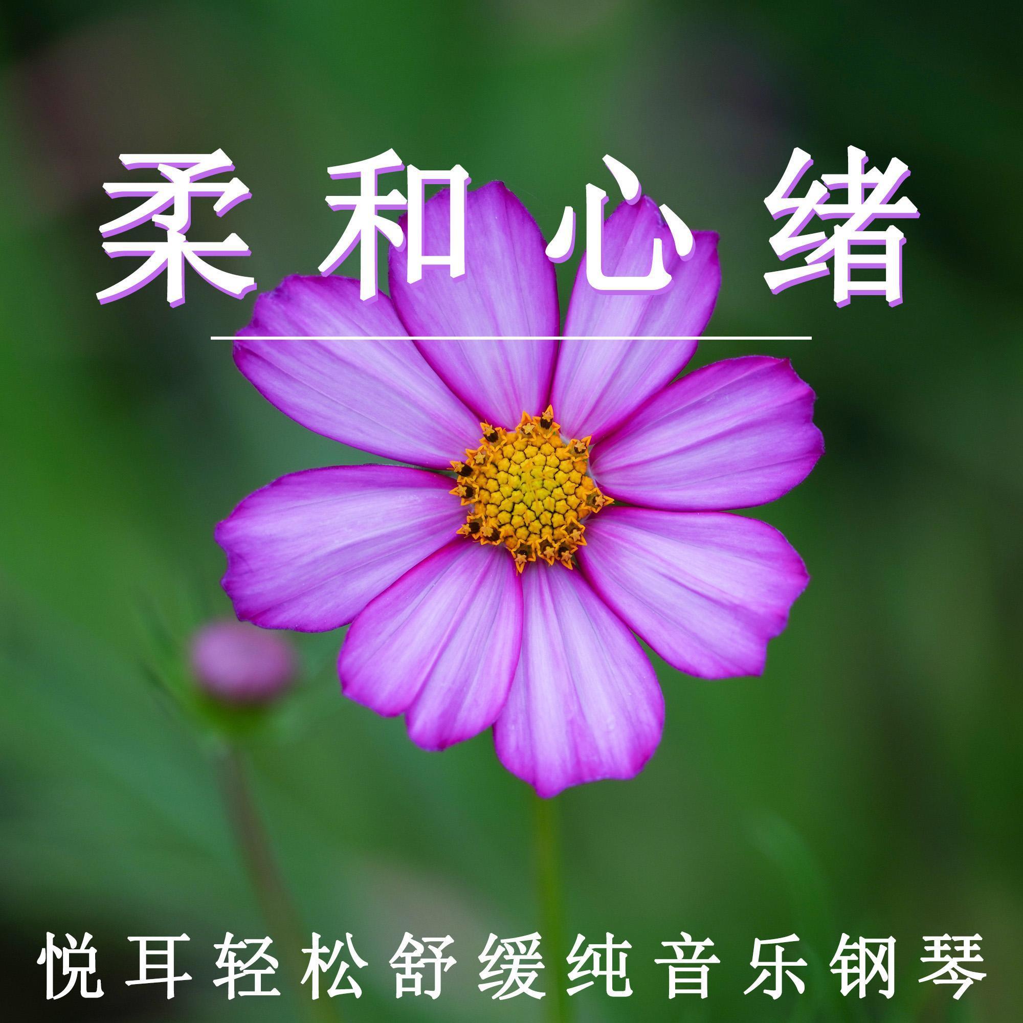 悦耳轻松舒缓（轻音乐）