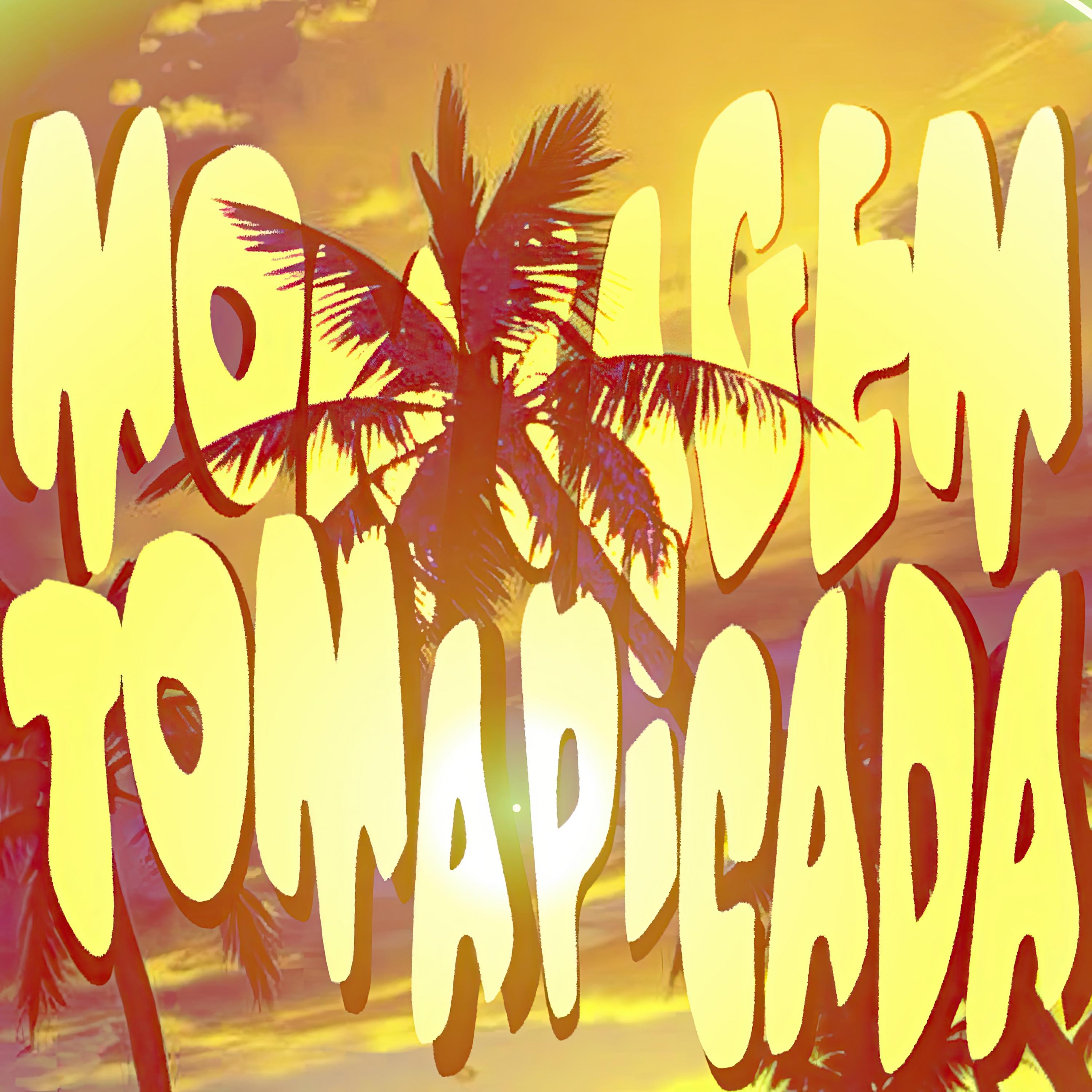 Montagem Toma Picada