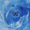 怪我专辑
