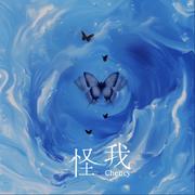 怪我
