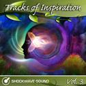 Tracks of Inspiration, Vol. 3专辑