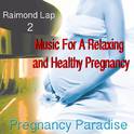 Pregnancy Paradise 2专辑