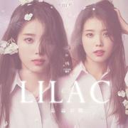 라일락（LILAC）中文填词