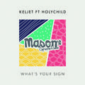 What's Your Sign (Mason's Capricorn Remix)