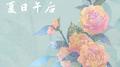 夏日午后专辑