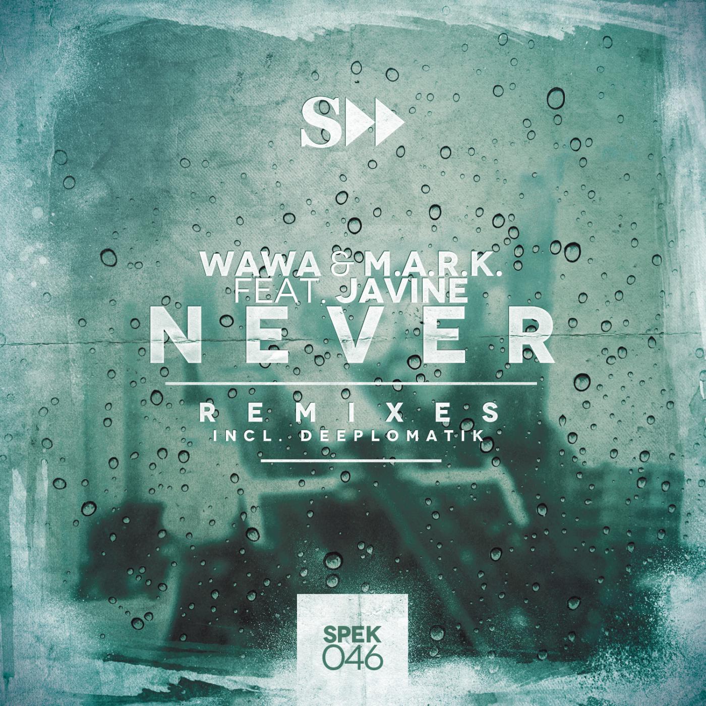 Wawa - Never (Deeplomatik Dub Remix)