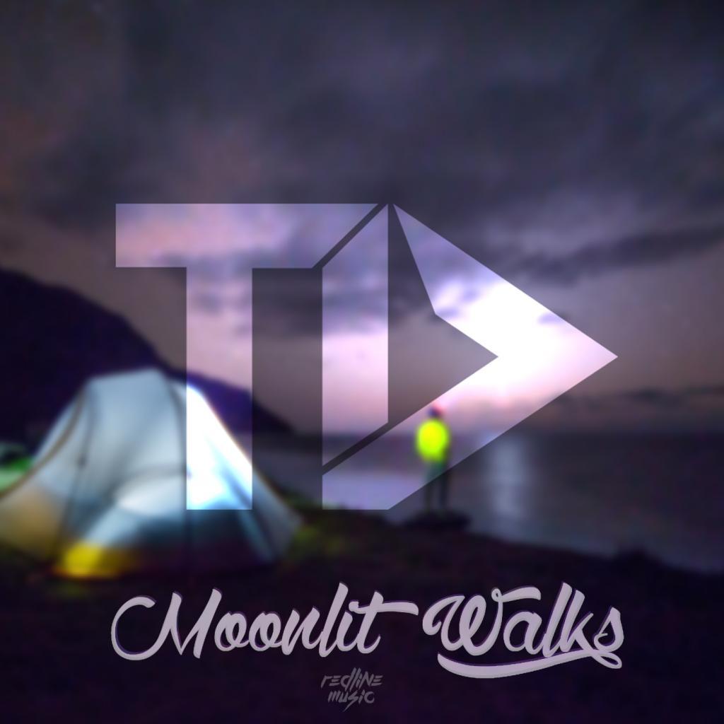 Moonlit Walks