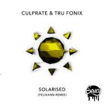 Solarised (Pelikann Remix)专辑