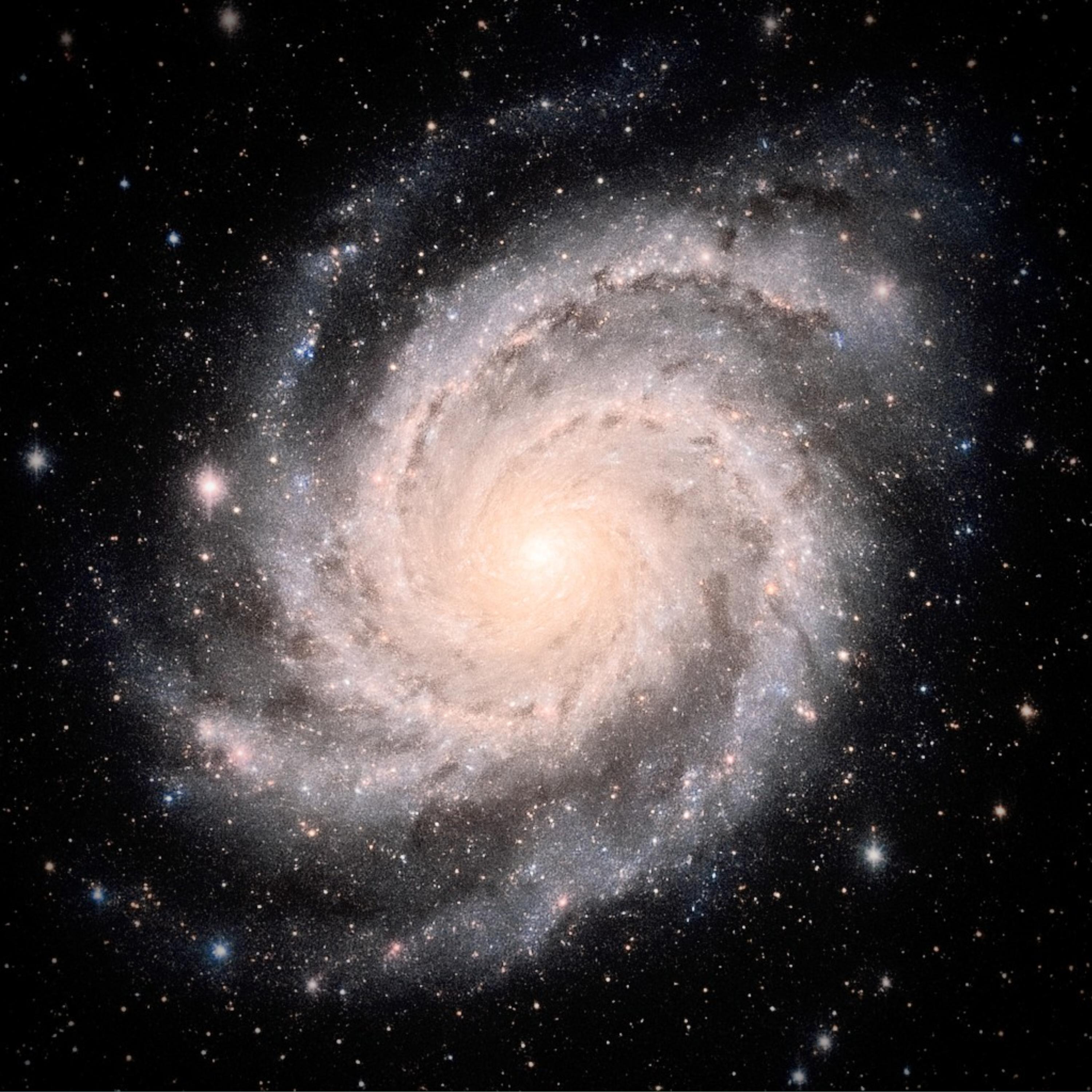 X-VERSE (Ultra Slowed)