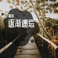 难忘银滩 - 曾静(CD 192kbps stereo 含)