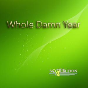 Whole Damn Year(unofficial Instrumental) （原版立体声无和声） （降3半音）