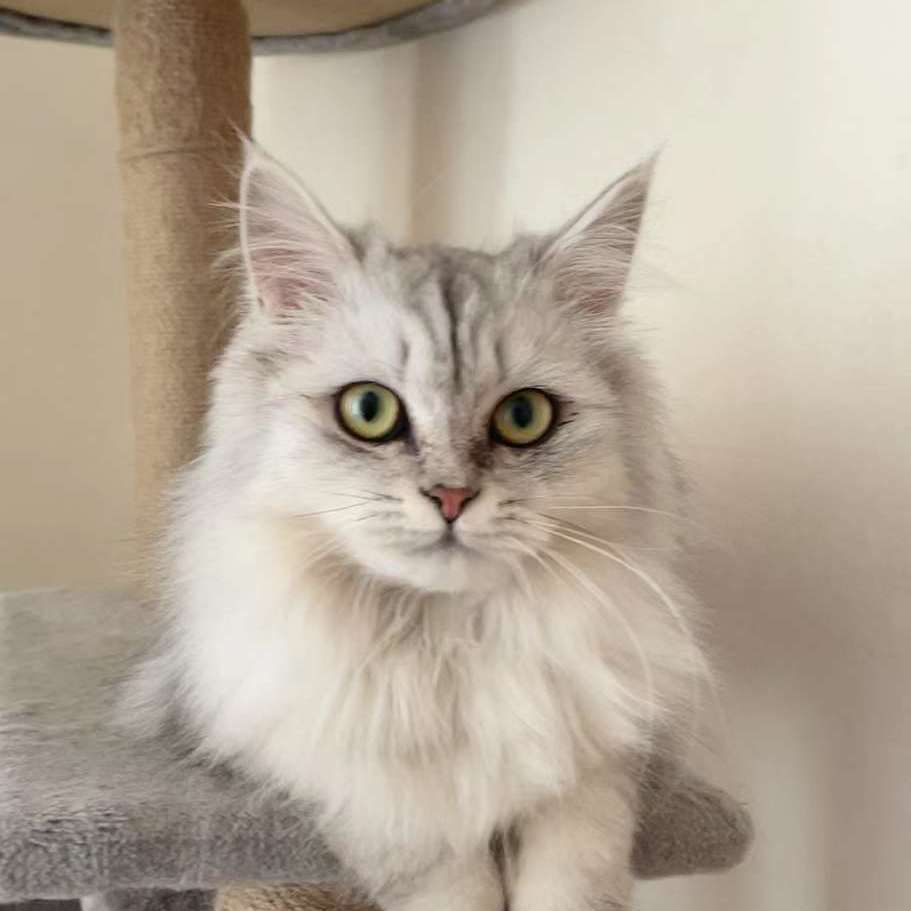 第57次取消发送(阿岩 bootleg )